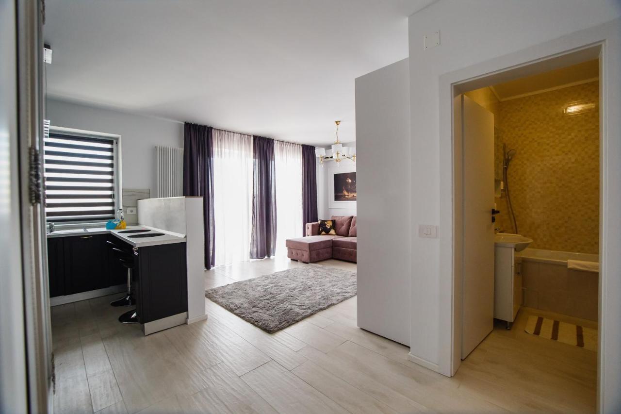 No. 11 - The Penthouse In City Center 오라데아 외부 사진